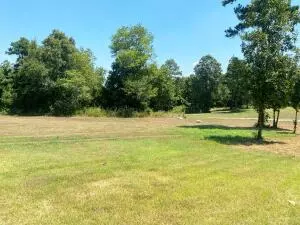 Undisclosed, Dover, AR 72837 photo 47
