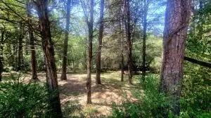 Undisclosed, Dover, AR 72837 photo 48