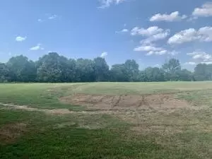 Undisclosed, Dover, AR 72837 photo 30