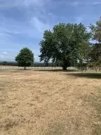 Undisclosed, Dover, AR 72837 photo 2