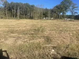 Undisclosed, Dover, AR 72837 photo 3