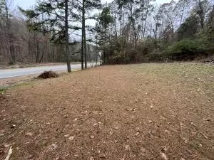 Undisclosed, Dover, AR 72837 photo 3