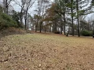 Undisclosed, Dover, AR 72837 photo 5
