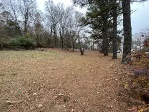 Undisclosed, Dover, AR 72837 photo 4