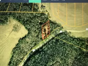 Undisclosed, Dover, AR 72837 photo 2