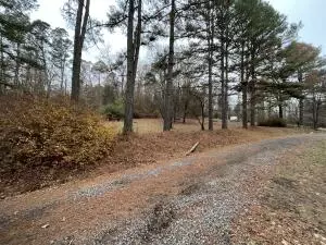 Undisclosed, Dover, AR 72837 photo 19