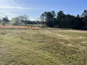Undisclosed, Dover, AR 72837 photo 18