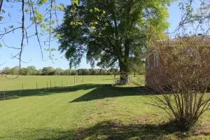 Undisclosed, Ozark, AR 72949 photo 18