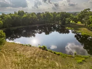 907 Bowers Loop, Dover, AR 72837 photo 5