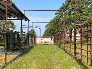 Undisclosed, Dover, AR 72837 photo 28