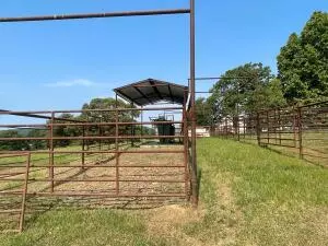Undisclosed, Dover, AR 72837 photo 24