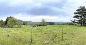 Undisclosed, Dover, AR 72837 photo 33