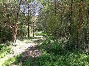 Undisclosed, Russellville, AR 72802