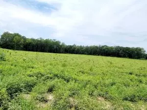 Undisclosed, Danville, AR 72833