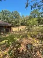 Undisclosed, Dover, AR 72837 photo 20