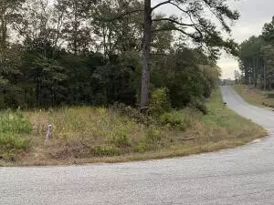 Undisclosed, Dover, AR 72837 photo 3