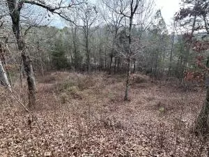 961 Broomfield Rd, Dover, AR 72837 photo 34