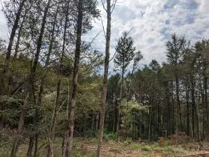 26 Shelby Ln # A, Cecil, AR 72930