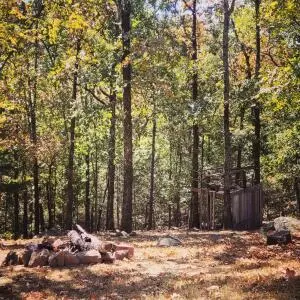 Undisclosed, Conway, AR 72032 photo 43