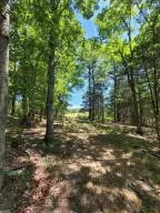 922 Nc 8355 #STE 652, Jasper, AR 72641 photo 4