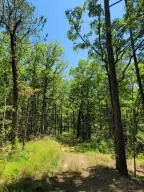 922 Nc 8355 #STE 652, Jasper, AR 72641 photo 5