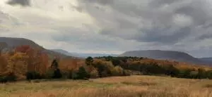 922 Nc 8355 #STE 652, Jasper, AR 72641
