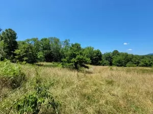 922 Nc 8355 #STE 652, Jasper, AR 72641 photo 3