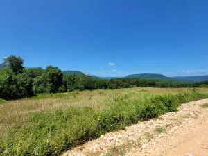 922 Nc 8355 #STE 652, Jasper, AR 72641 photo 2