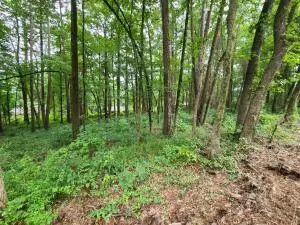 Undisclosed, Dardanelle, AR 72834