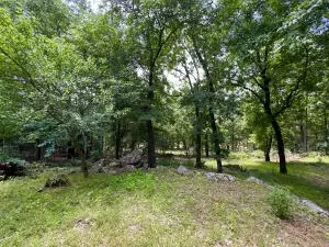Undisclosed, Dover, AR 72837 photo 47