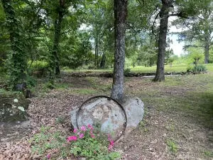 Undisclosed, Dover, AR 72837 photo 48