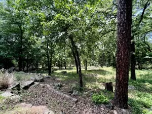 Undisclosed, Dover, AR 72837 photo 46