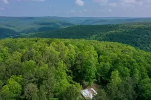 Undisclosed, Hector, AR 72843