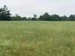 Undisclosed, Casa, AR 72025 photo 15