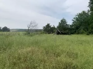 Undisclosed, Casa, AR 72025 photo 13