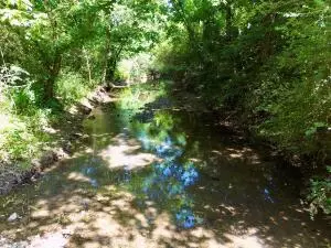 tbd Tickle Lane Greenville Rd, Havana, AR 72842