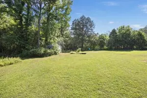 Undisclosed, Dover, AR 72837 photo 35