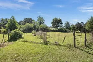 Undisclosed, Dover, AR 72837 photo 37