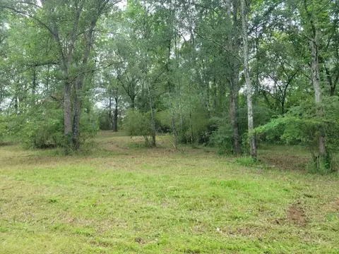 Hankins Drive, Dover, AR 72837 photo 3