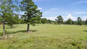 Undisclosed, Dover, AR 72837 photo 46