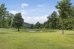 Undisclosed, Dover, AR 72837 photo 48