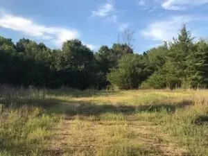 Undisclosed, Scranton, AR 72863 photo 1
