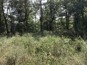 0 Cr 5070, Lurton, AR 72856