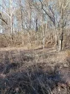 1 3512 Cr Tract 1, Clarksville, AR 72830