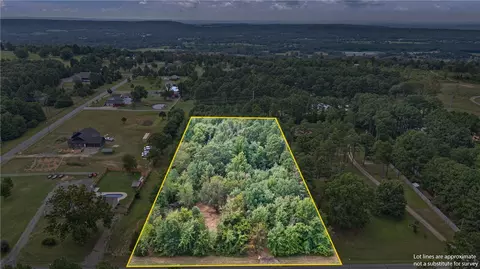 3355 Morgan Rd, Dover, AR 72837 photo 10