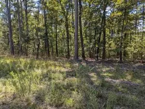 00 Colorado Dr, Perryville, AR 72126