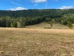 16810 Sr 7, Dover, AR 72837 photo 5