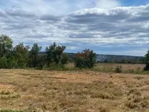 16810 Sr 7, Dover, AR 72837 photo 10