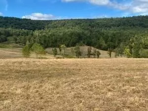 16810 Sr 7, Dover, AR 72837 photo 7