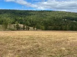 16810 Sr 7, Dover, AR 72837 photo 6